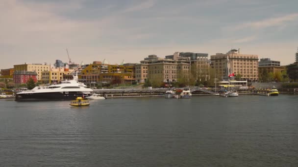Yacht Hamnen Victoria Vancouver Kanada — Stockvideo