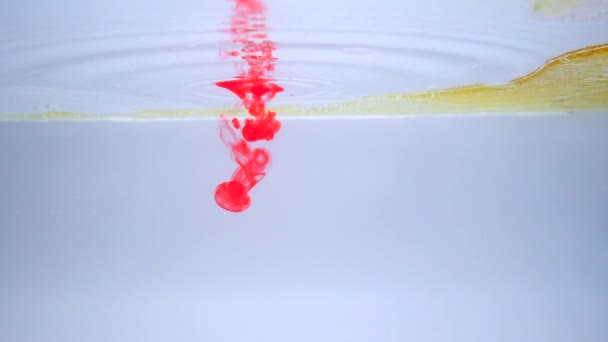 Closeup Shot Red Drops Pouring Transparent Liquid — Vídeos de Stock