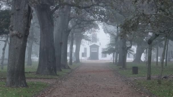 Malebný Pohled Cestu Zelených Stromů Vedoucí Vinařství Groot Constantia Kapském — Stock video