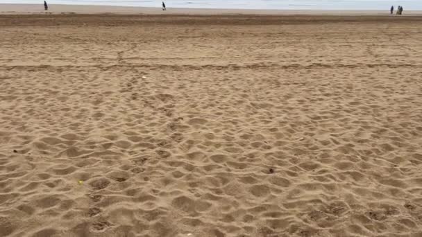 Λίγοι Άνθρωποι Περπατούν Στην Παραλία — Αρχείο Βίντεο