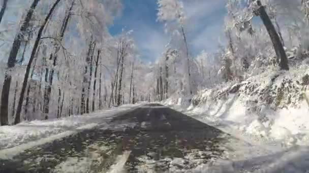 Bir Arabanın Camından Karla Kaplı Ormanla Çevrili Bir Kış Yolu — Stok video