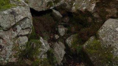 Bir adam ormanın içinde güneşin doğuşunu yakalamak için koşuyor.