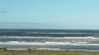 Rough waves of the North sea close to the beach with beach grass in foreground