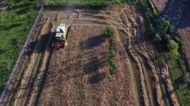A top view of agricultural machinery threshed wheat on a sunny day