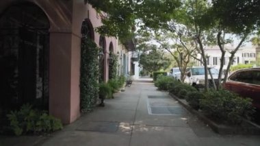 A beautiful view of a street with trees and parked cars on a sunny day