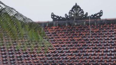A beautiful shot of green leaves in front of a red roof building during rain