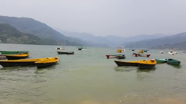 Baai Van Phewa Lake Met Afgemeerde Boten — Stockvideo