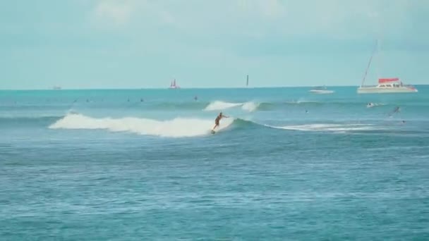 Surfista Honolulu Havaí Montando Uma Onda — Vídeo de Stock