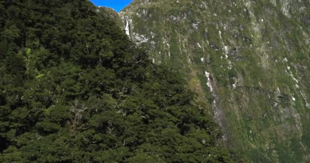 ニュージーランドのミルフォードサウンドの緑の山の中のサザーランド滝の空中ビュー — ストック動画