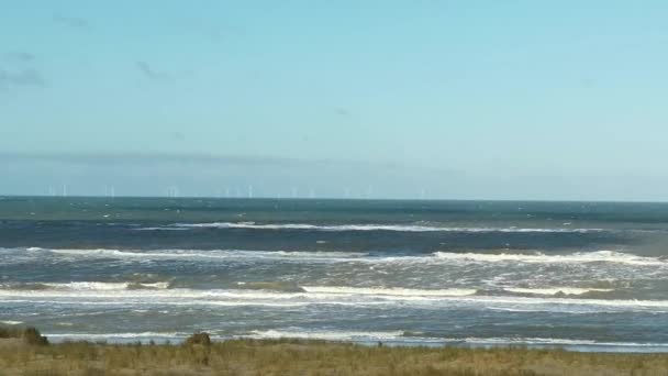 Rough Waves North Sea Close Beach Beach Grass Foreground — Stock Video