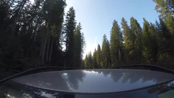 Beautiful View Trees Cloudless Sky Car Moving Foreground — Stok video