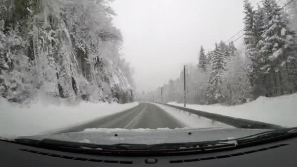Første Persons Synsvinkel Snedækket Vej Omgivet Nåletræer Inde Fra Kørende – Stock-video