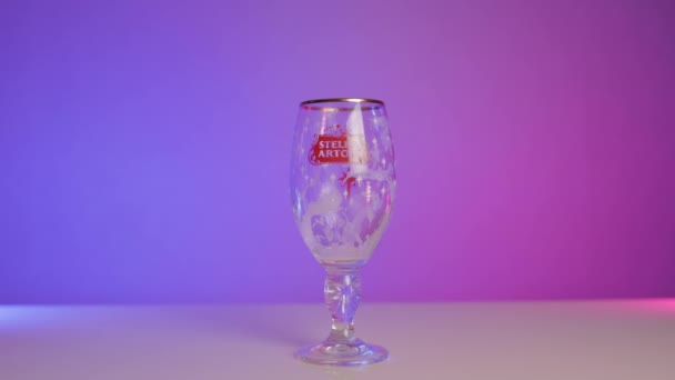 Person Pouring Fresh Beer Stella Artois Glass Gradient Purple Background — Αρχείο Βίντεο