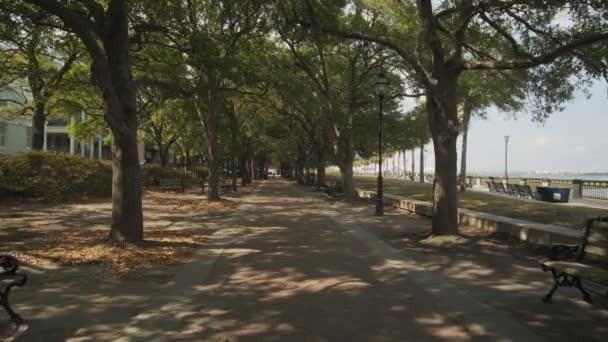 Tree Arch Walkway Joe Riley Waterfront Park — Stok Video