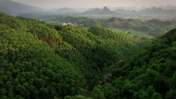 Morning Flying Forest Chinese Traditional Villages Captured Drone — Vídeos de Stock