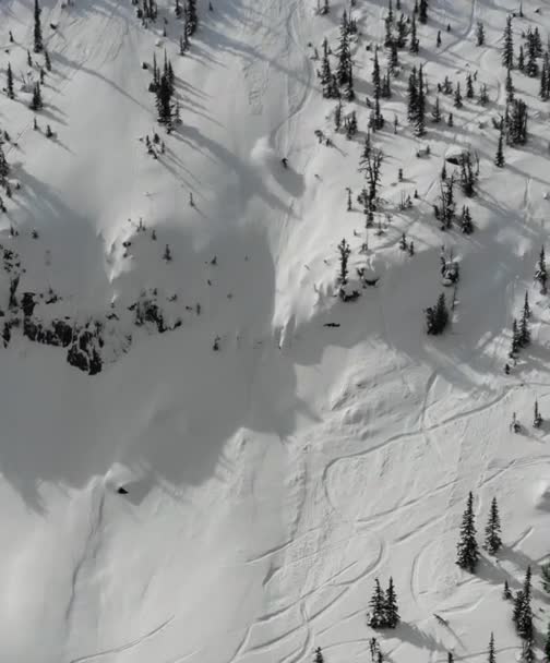 Scenic Aerial View Person Skiing Mountain — Vídeo de Stock