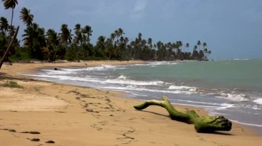 A natural view of the beautiful beach of Loiza in Puerto Rico during summertime