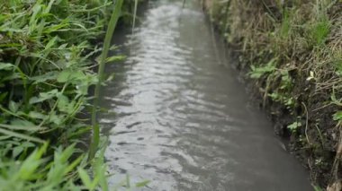 A time-lapse of a small water stream creek