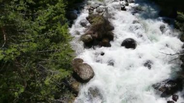 An aerial footage of the Glazne river flowing in a forest in Bansko, Bulgaria