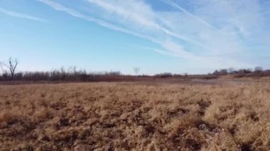 A drone footage of a meadow with dry grass and vegetation in cloudy sky background