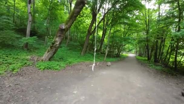 Green Park Narrow Path Rope Hung — Video