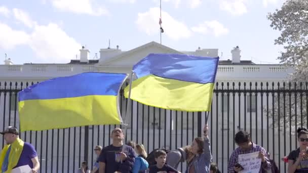 Ένα Βίντεο Φιλο Ουκρανούς Διαδηλωτές Κυματίζουν Σημαίες Της Ουκρανίας Έξω — Αρχείο Βίντεο