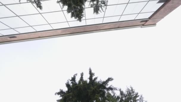 Low Angle Shot High Glass Building Park Tall Trees — Stockvideo