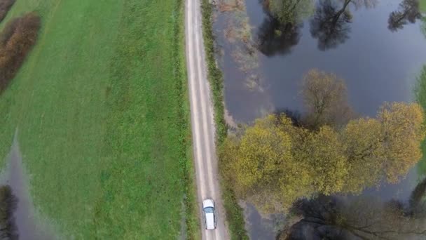 Aerial View Car Riding Country Road Lake Green Nature Sides — Wideo stockowe