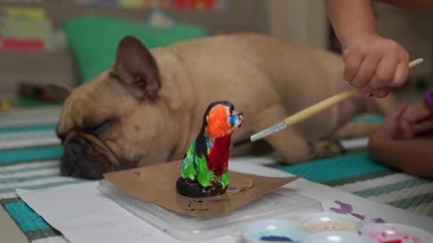 Footage Small Kid Painting Dog Sculpture French Bulldog Sleeping Next — Stock videók