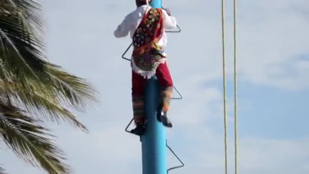 Man Costume Climbing Pole Voladores Papantla Ancient Mexican Ritual — Stock video