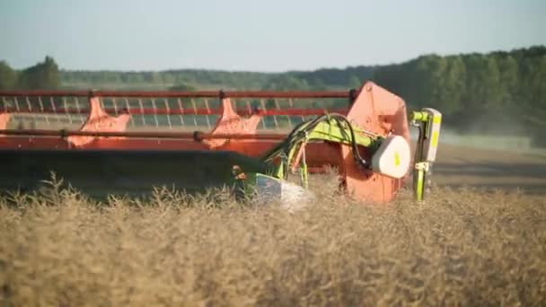 Een Tractor Werkt Het Veld — Stockvideo