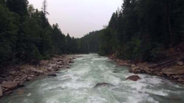 Fast Flowing River Passing Rocks Forests Mountains British Columbia Canada — Stockvideo