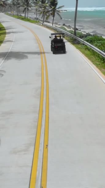 Vertical Footage Black Golf Cart Driving Road Surrounded Palm Trees — Video