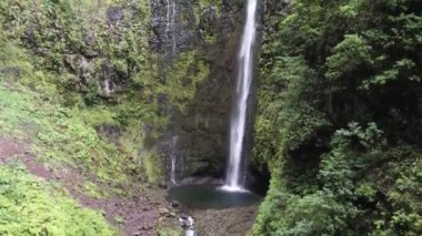A closeup of a waterfall flowing in the forest near Madera Island, Portugal