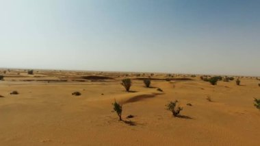 A drone footage of a desert with dry vegetation in blue sky background