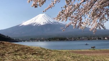 A scenic view of sakura blossom against the Mount Fujiyama reflecting on a tranquil lake in Japan