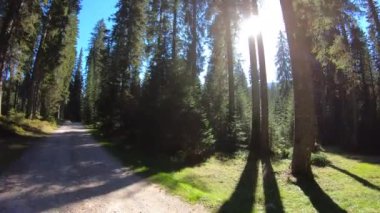 A young female running in the forest on a sunny day