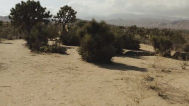 A scenic shot of a sandy landscape with trees surrounded by hills