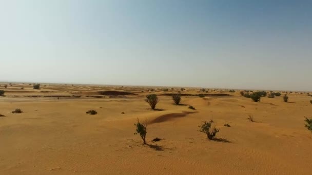 Drone Footage Desert Dry Vegetation Blue Sky Background — Vídeo de Stock