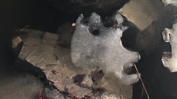 Piece Ice Floating Granite Stones Early Spring — Vídeo de Stock