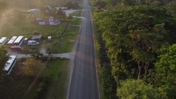 Aerial View Road Nature Palm Trees Countryside Houses — Video Stock