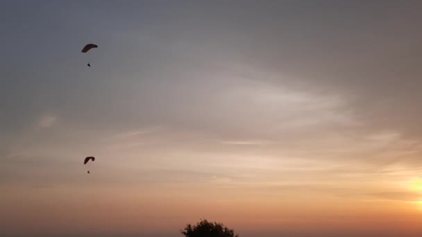 Paragliding Ocean Treetops While Golden Sunset Parangtritis Beach Java Island — 비디오