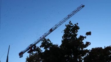 Fransa, Normandiya 'da, Caen' in gökyüzünde bir turna sürüsü.