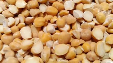 Chickpeas split yellow beans, seeds, grains yellow split beans, lentils dry beans, dried beans, Harbhara or harbara dried split beans dal or daal fo