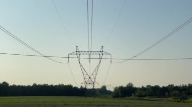 Yeşil bir alanın ortasındaki uzun kabloları destekleyen bir güç hattı.