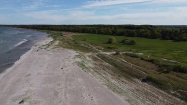 An aerial shot of a beach with a forest in the background