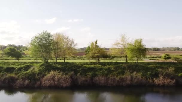 Drone Shot Man Riding Bike Green Landscape River Next Dike — Stockvideo