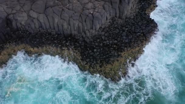 Aerial Shot Tasman Sea Waves Crashing Volcanic Rocks Fingal Head — Stockvideo