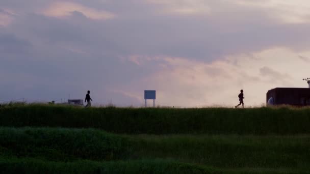 Silhouettes People Walking Running Riverbank Edogawa River Sunset — Video