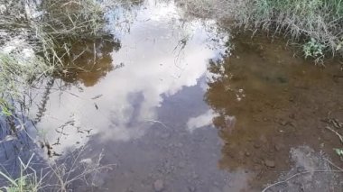 Ağaçları yansıtan bir su ve bulutlu mavi bir gökyüzü. Kayalar ve çimlerle çevrili doğal bir kireçtaşı havzasından oluşan bir su havuzu görüntüsü.